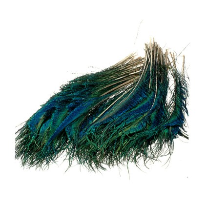 Peacock sword tails pióra mieczowe pawia